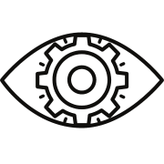 Our Vision Icon